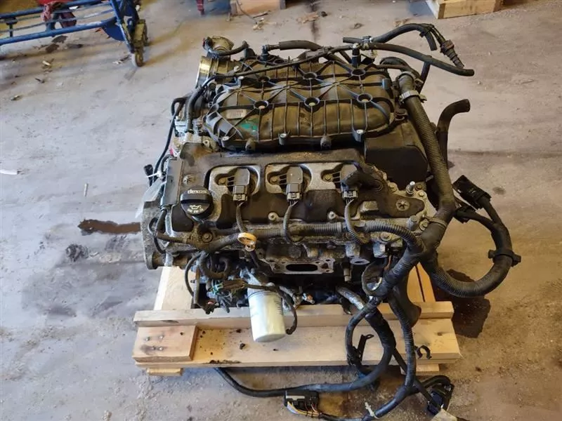 8dfdd1_05ea1103843a4ab4a55d54130ed7b5de~mv2