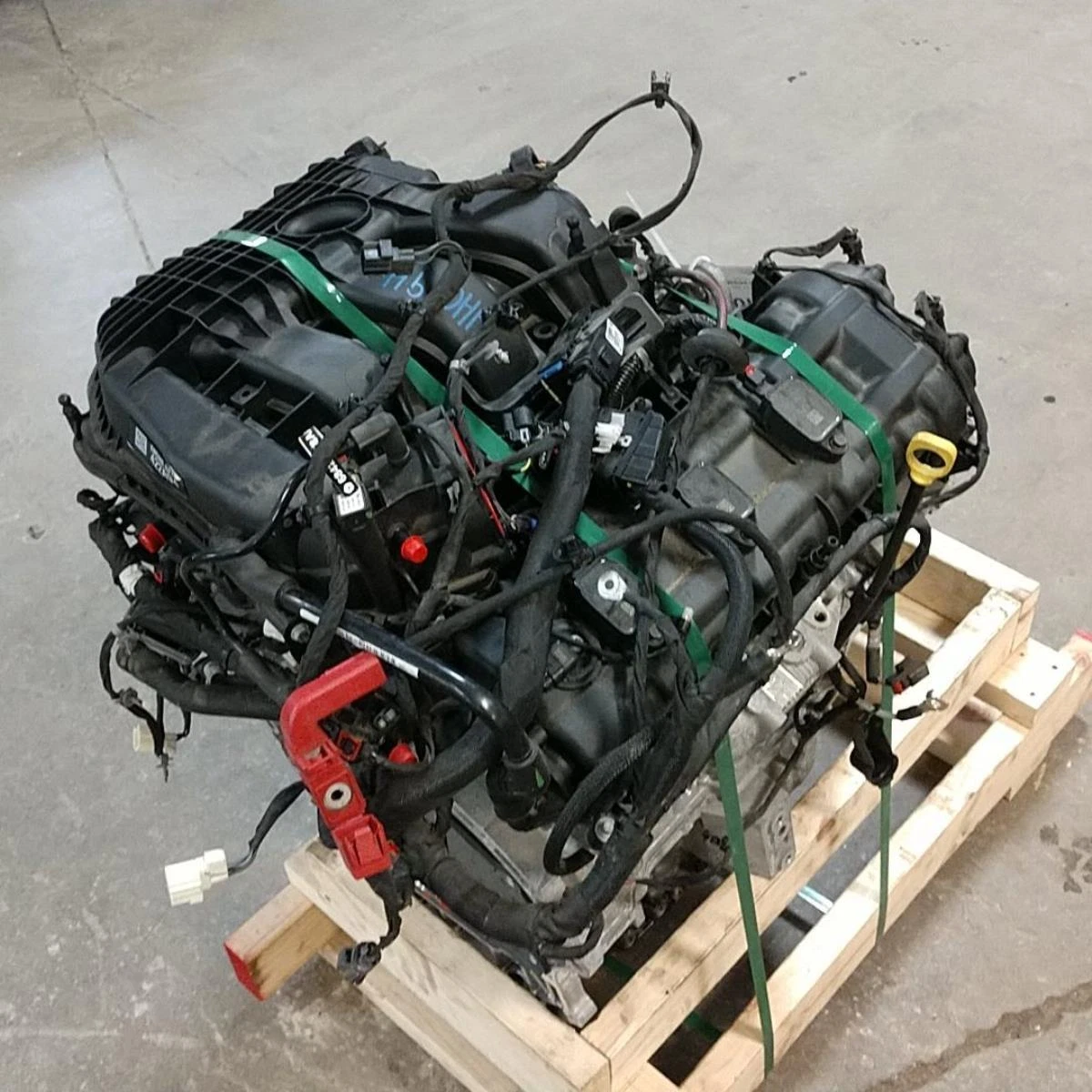 8dfdd1_3ad23482ecec47bc95c187e931326d98~mv2