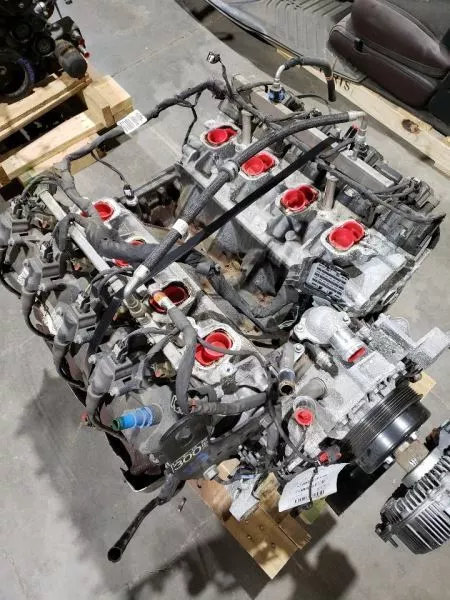 8dfdd1_4c398bb4d8134db2aa698ed9ca1ebe73~mv2