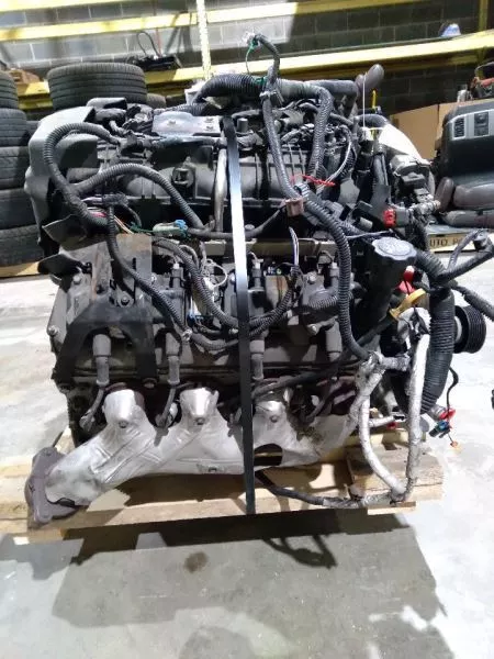 8dfdd1_4d4398b78b1a4c46a48cd6ff0628bbd6~mv2