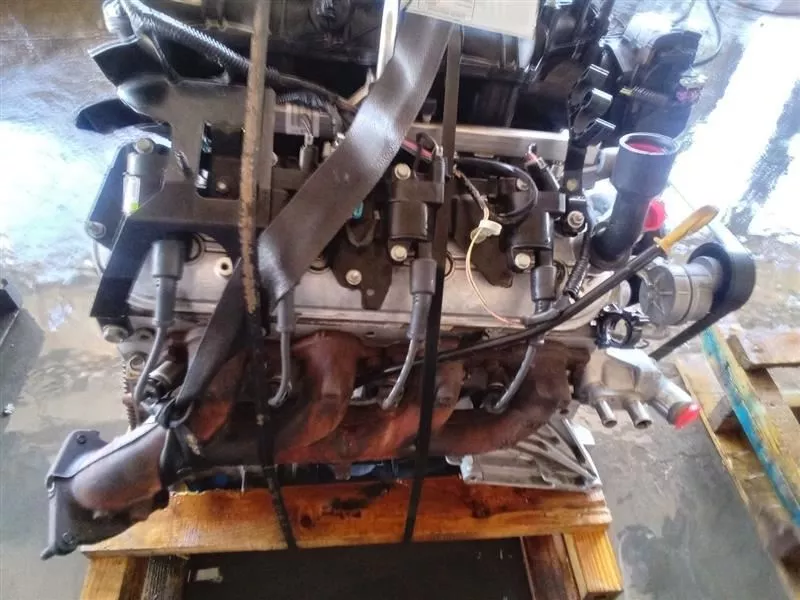 8dfdd1_53e729b98cce469b84fd48b148d5ad25~mv2