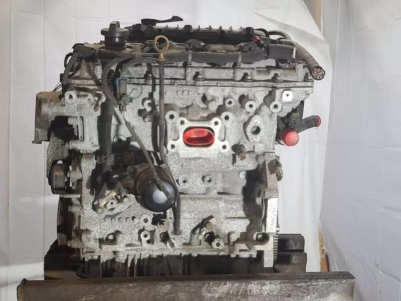 8dfdd1_57c09a92f262425d847b70abc2d8145d~mv2