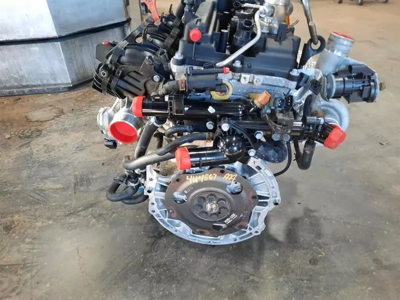 8dfdd1_62e675ac2198427094dcd52b39bec923~mv2