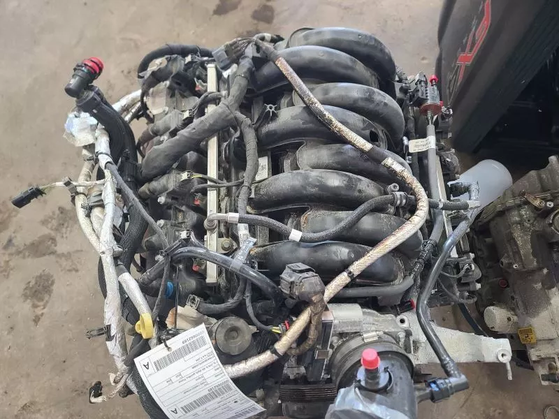 8dfdd1_6a95ef86e56248a286fbb7a7aa6736a1~mv2