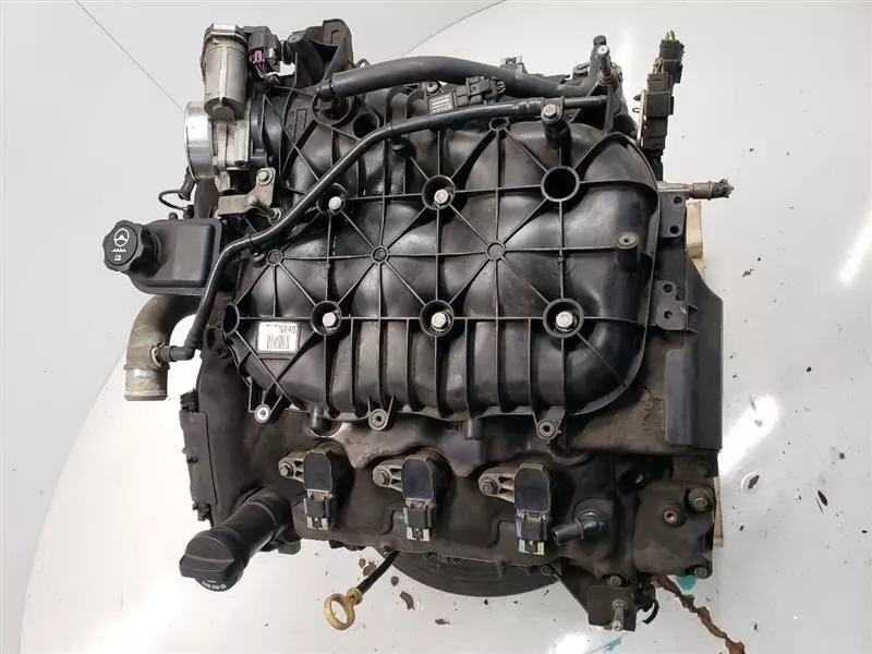 8dfdd1_794e539fd29a4dabac991097488e3a01~mv2