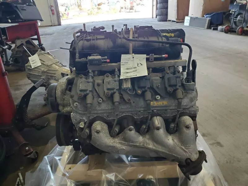 8dfdd1_afdbdd4c3eeb4d46a0d716ca345c36a2~mv2