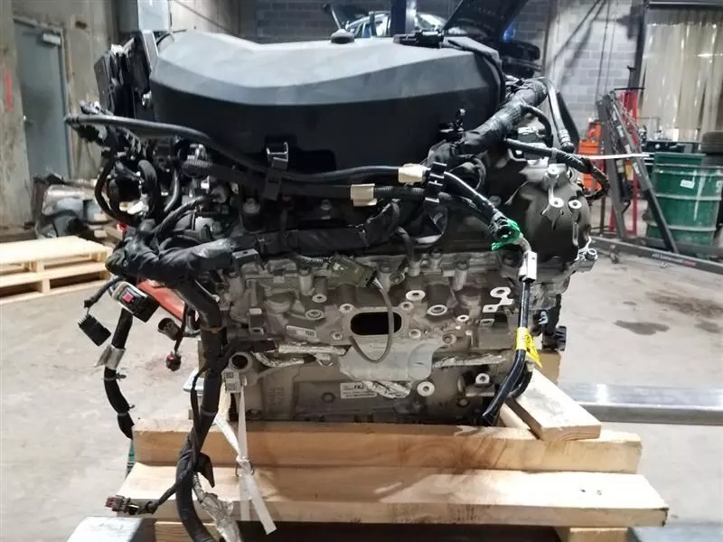 8dfdd1_c565c429221d42ceb00551759281400f~mv2