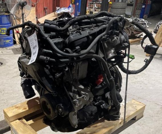 8dfdd1_c577448deeaf4ec5a16bd66b55055df6~mv2