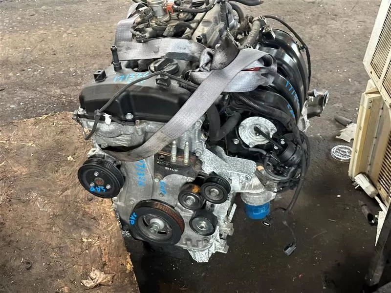 8dfdd1_d22ec3942fea46c98fb62834685baca1~mv2