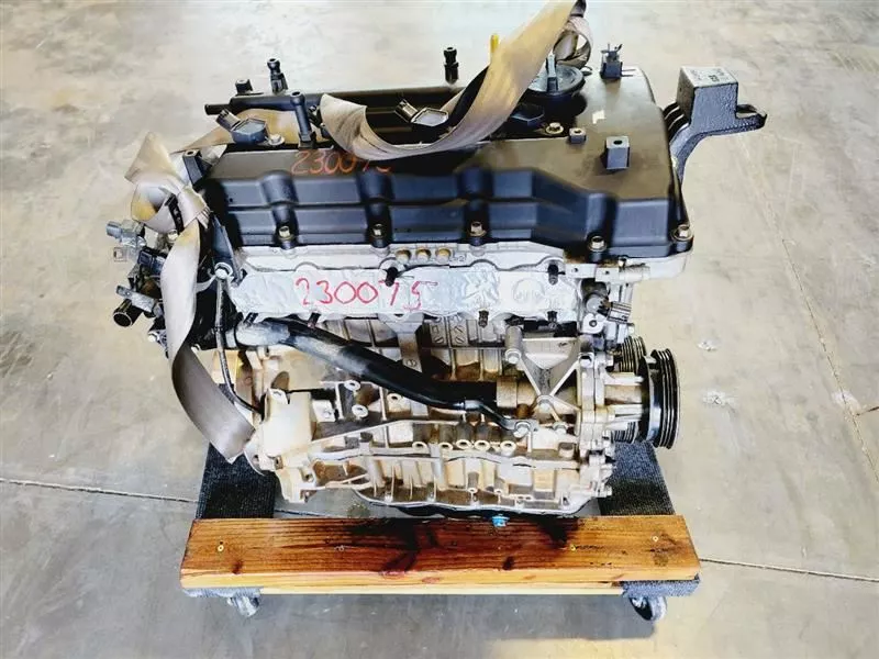 8dfdd1_da56a02b97b74553b69e210d066bfa2d~mv2