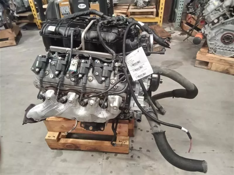 8dfdd1_ffa0d47ac411498ea6fba64a35bba21e~mv2